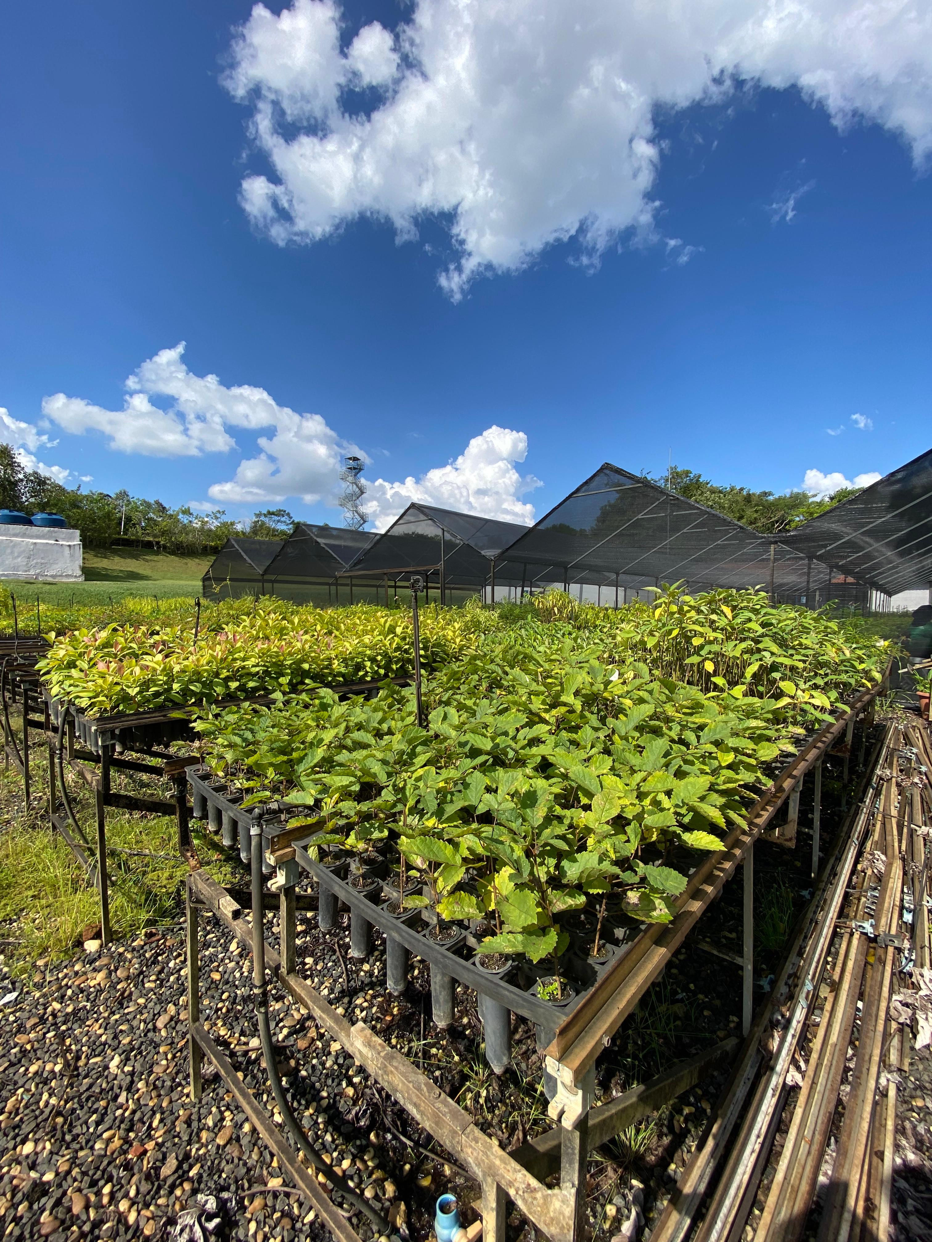 SOSMA_Itu_2024 (8).jpeg