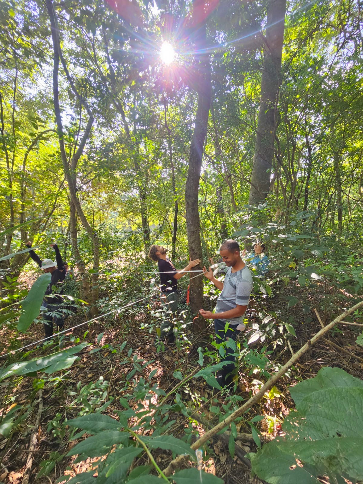 SOSMA_Itu_2024 (2).jpeg